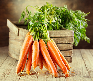 15 лучших сортов моркови