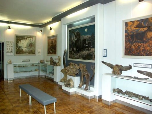 Краеведческий музей Вольска