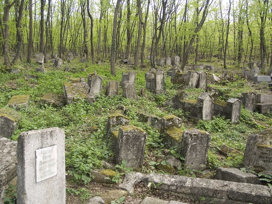 Караимское кладбище Балта-Тиймез