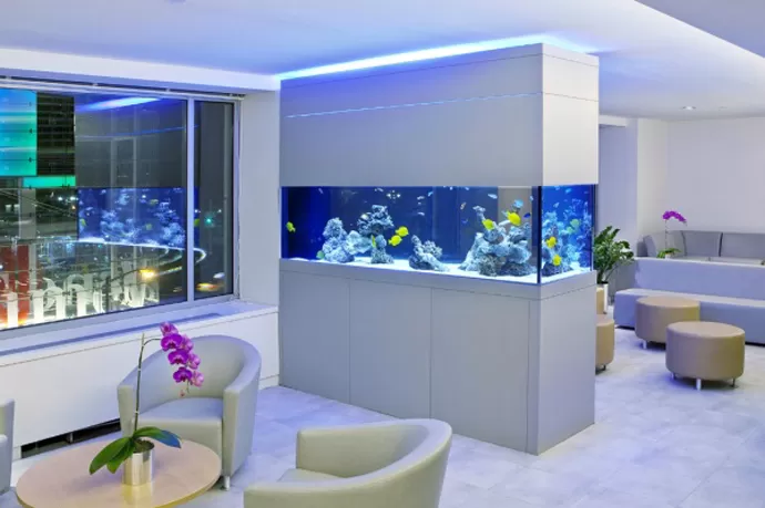 aquarium in the interior