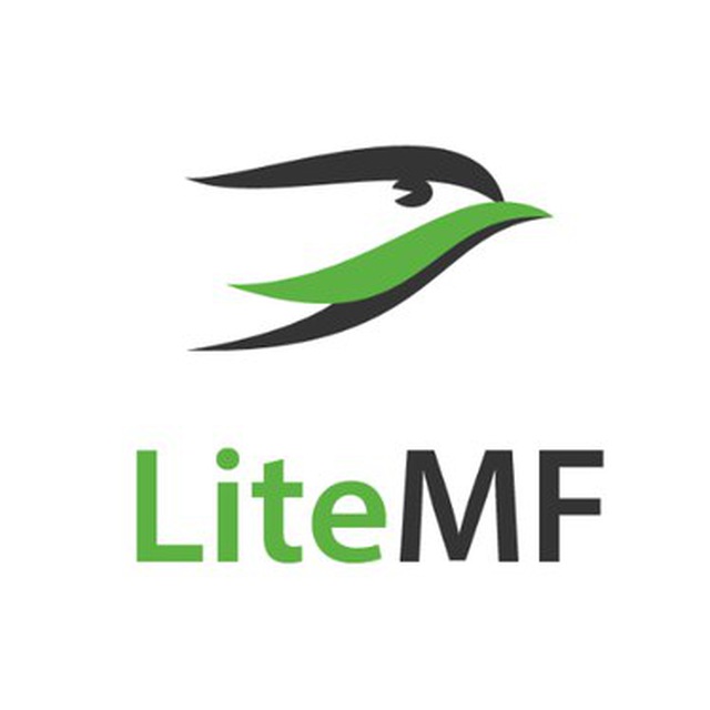 LiteMF