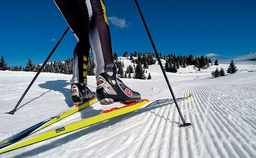 критерии выбора беговых лыж