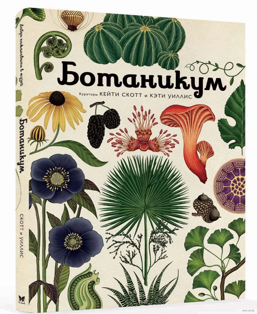 Ботаникум (Издательство Махаон, 2016 год)