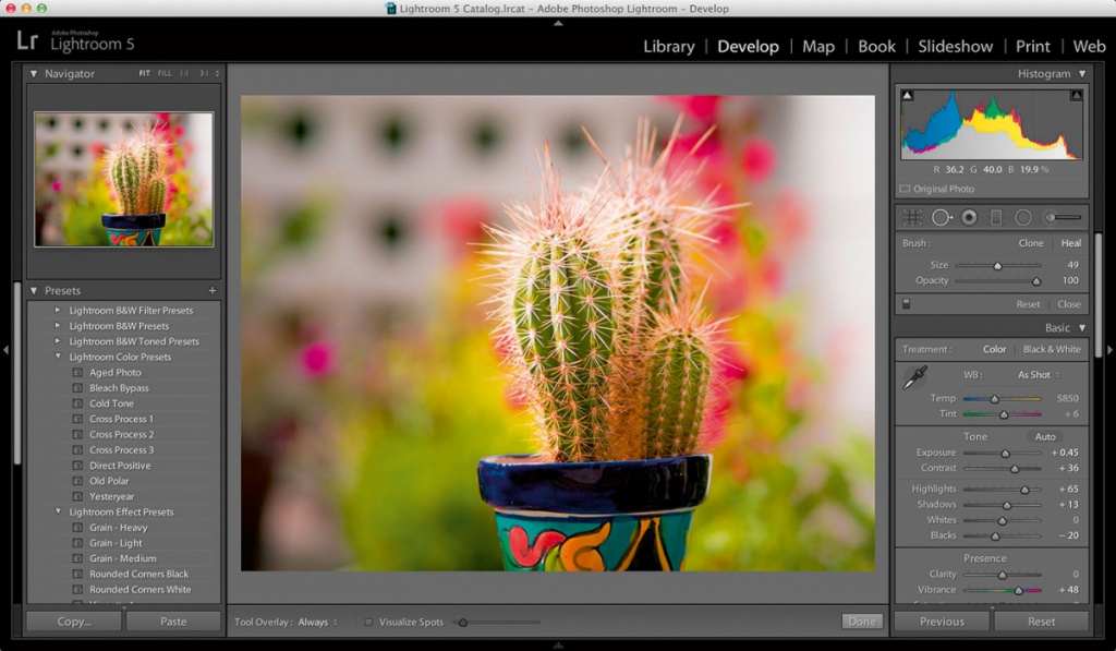 Adobe Photoshop Lightroom.jpg