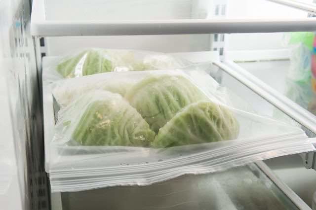 Is it possible to freeze cabbage
