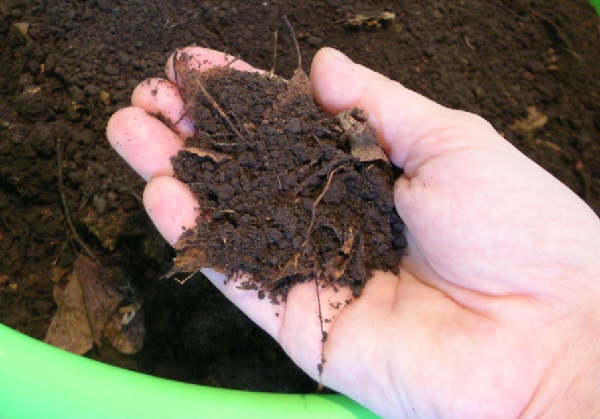 Выращивание огурцов в теплице - подготовка почвы