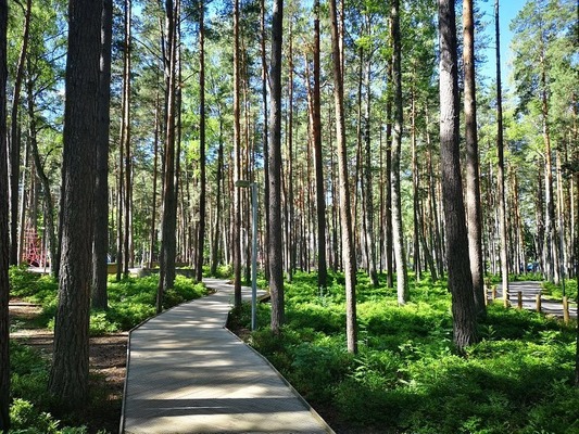 Лесной парк Дзинтари