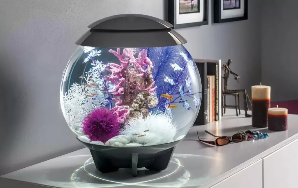 Поставьте аквариум или декоративный фонтанчик