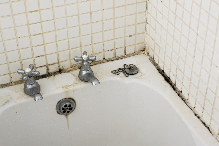 Как убрать плесень в ванной – народные средства и бытовая химия