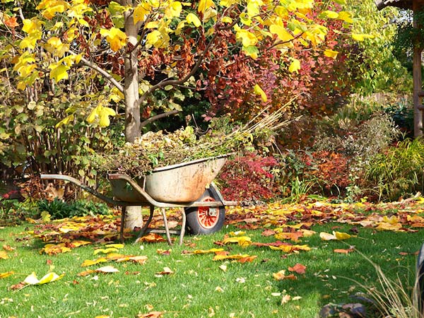 Осенние работы в саду и огороде: что нужно сделать