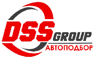 DSS Group