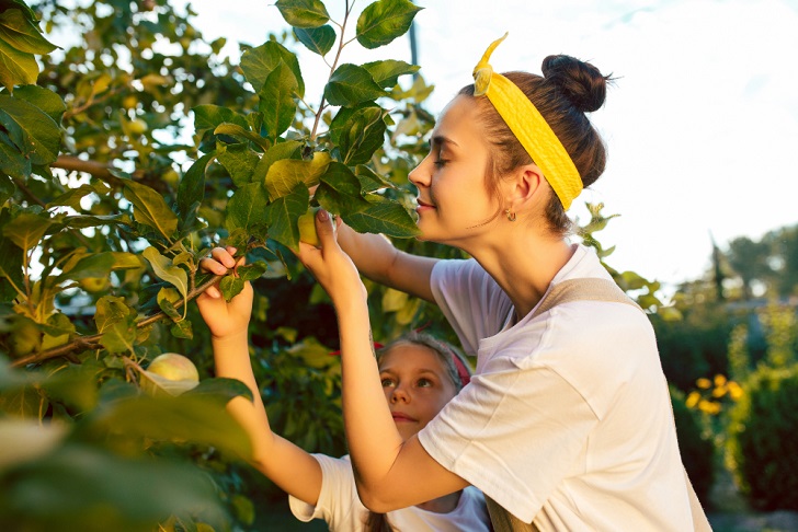 happy-young-family-during-picking-apples-garden-outdoors.jpg