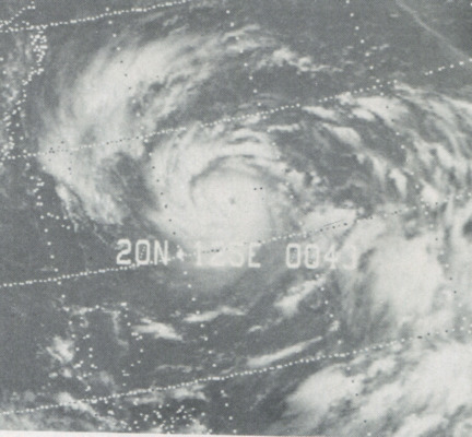 Тайфун Нина