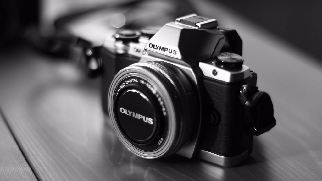 13 Лучших цифровых фотоаппаратов по отзывам экспертов - рейтинг 2019