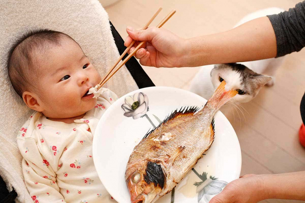 Как приготовить ребенку в 1 год рыбу