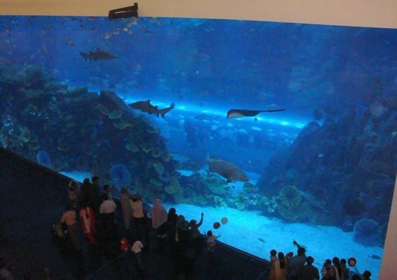 Dubai Aquarium, Дубай, ОАЭ