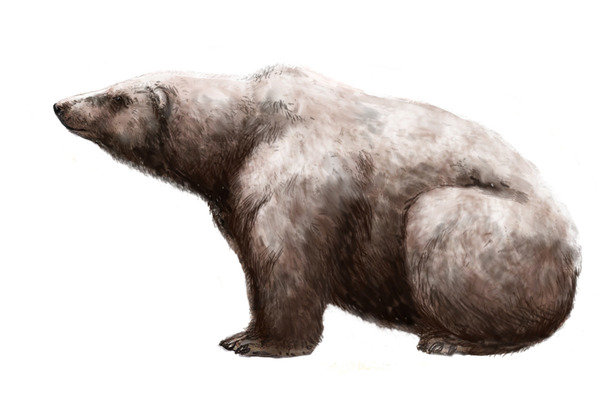 Гигантский белый медведь