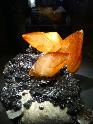 Terra Mineralia