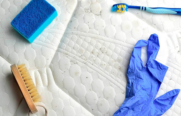 Как отстирать плесень с ткани в домашних условиях