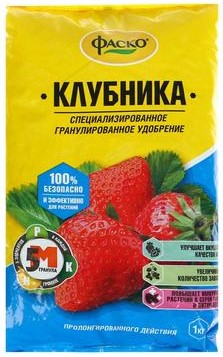 Клубника ФАСКО