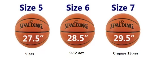 Размеры баскетбольных мячей