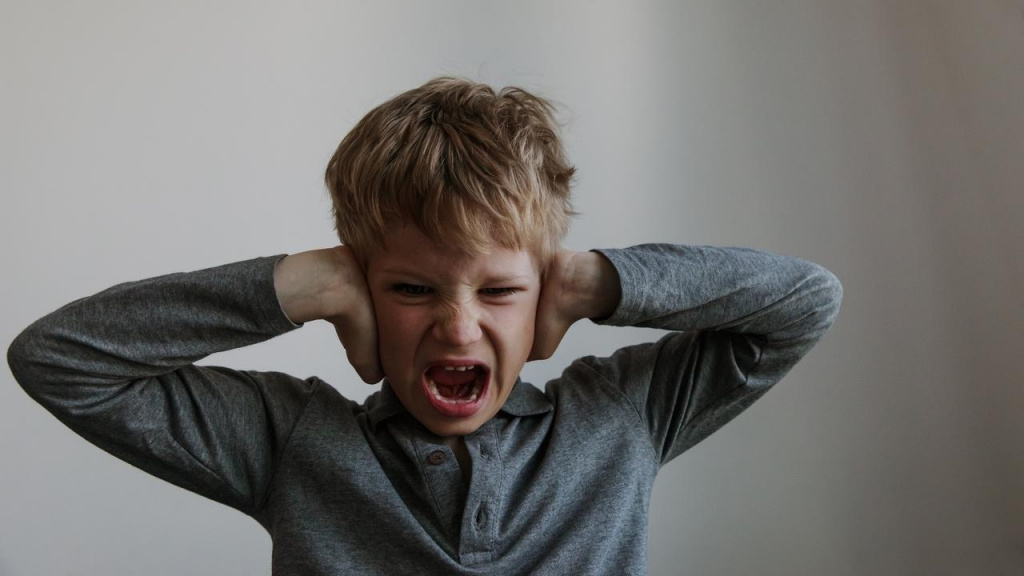 Детская агрессия: причины и особенности, пути решения