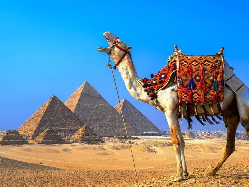 экскурсии Египет