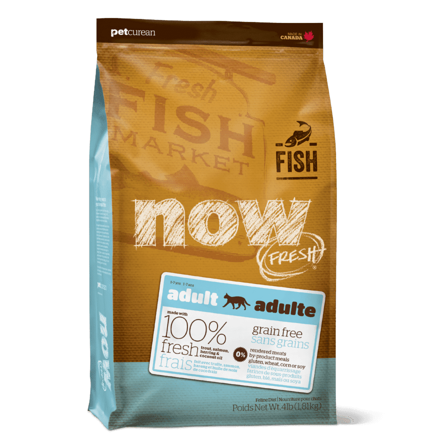 NOW FRESH Grain Free Fish Adult Recipe CF