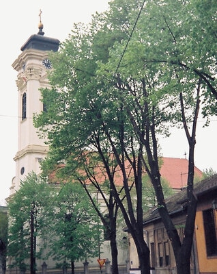 Алмашская церковь
