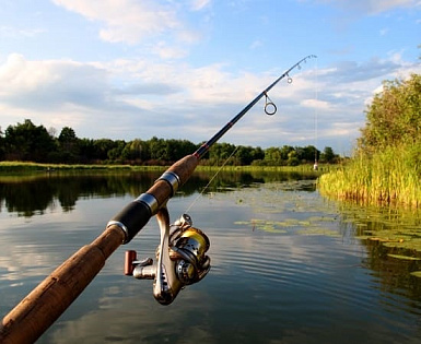 5 лучших спиннингов Shimano