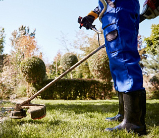 9 лучших триммеров Stihl